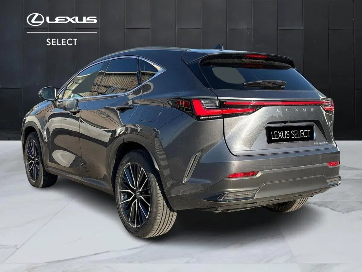 Lexus NX usata a Venezia (3)