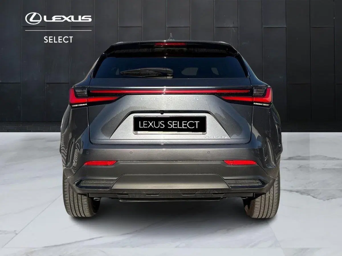 Lexus NX usata a Venezia (4)