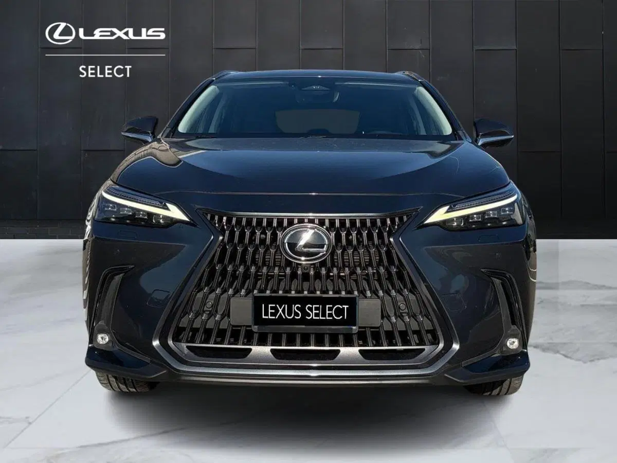 Lexus NX usata a Venezia (5)