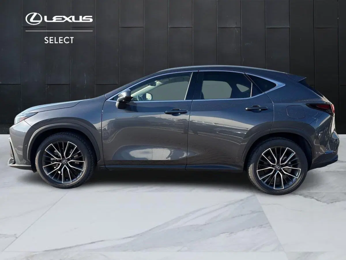 Lexus NX usata a Venezia (6)