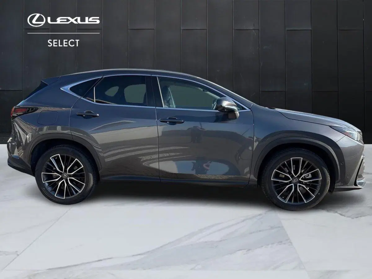Lexus NX usata a Venezia (7)