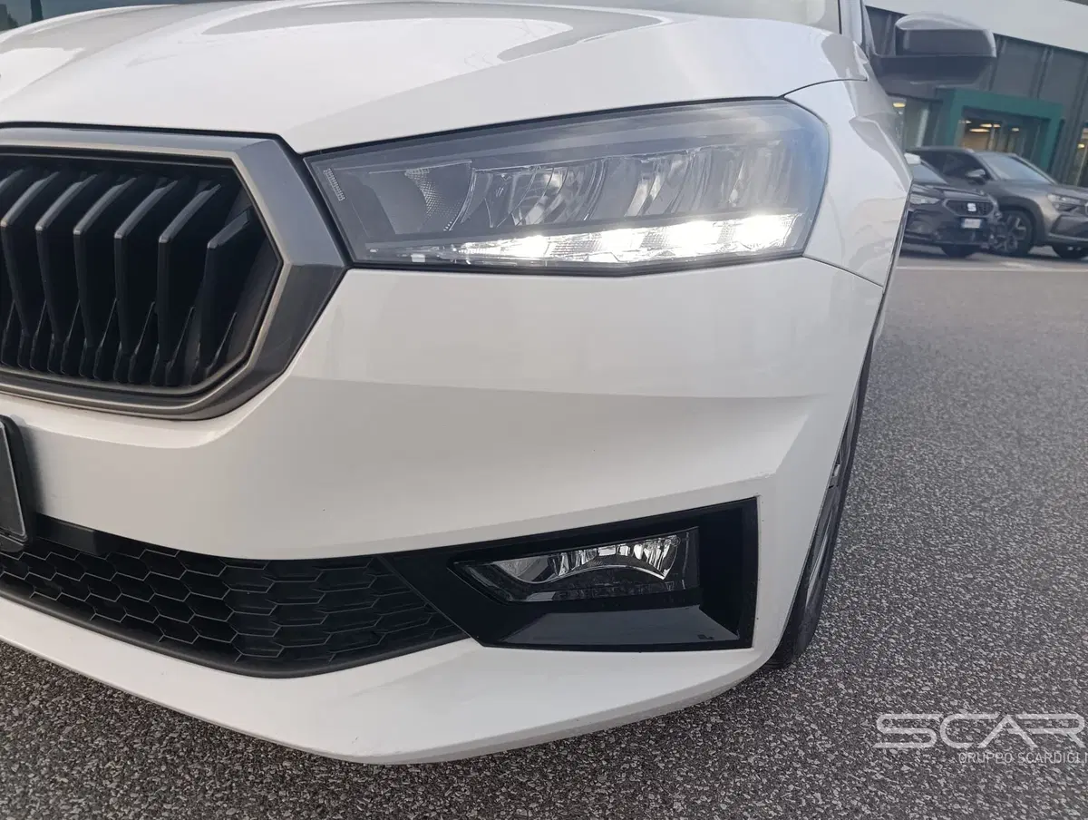 Skoda Fabia usata a Livorno (11)