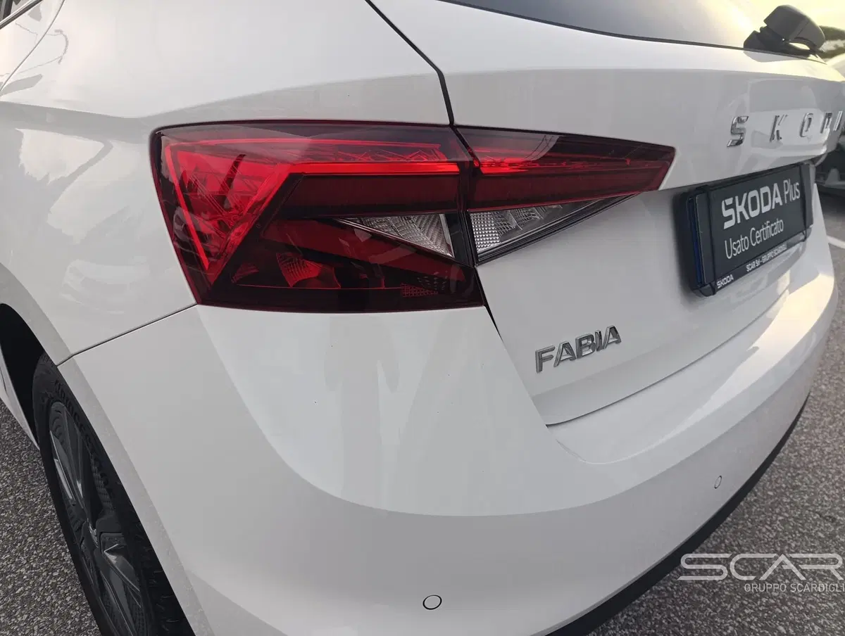 Skoda Fabia usata a Livorno (13)