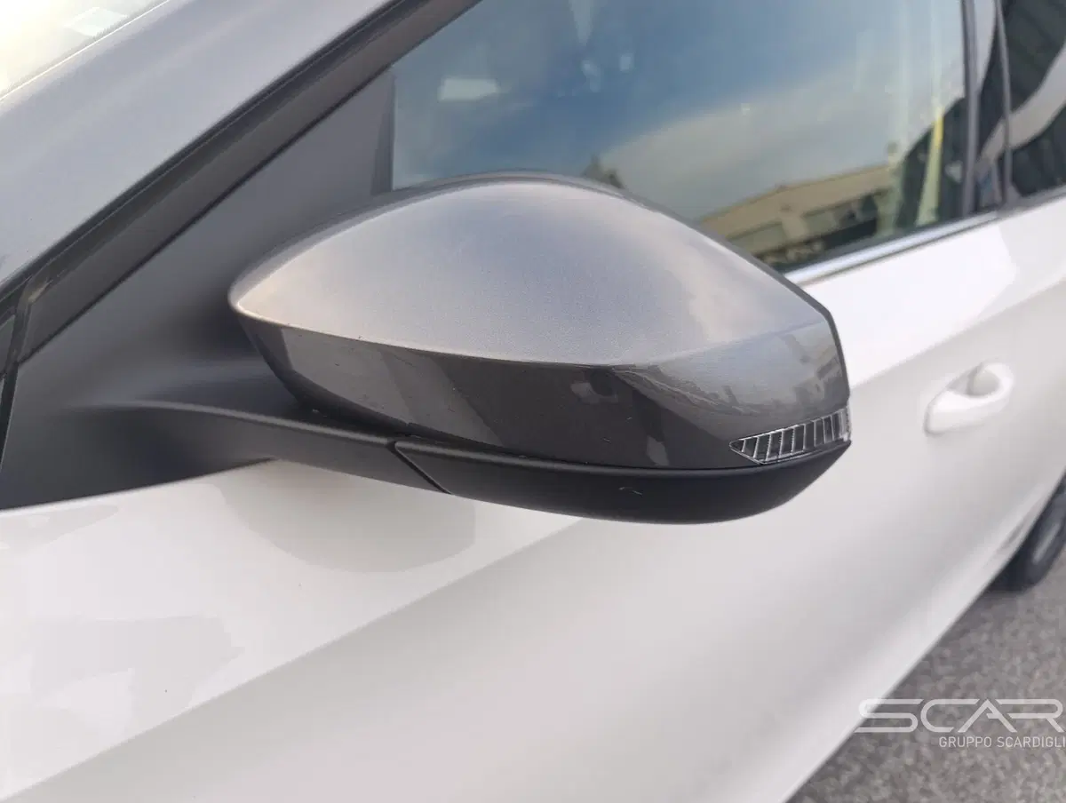 Skoda Fabia usata a Livorno (14)