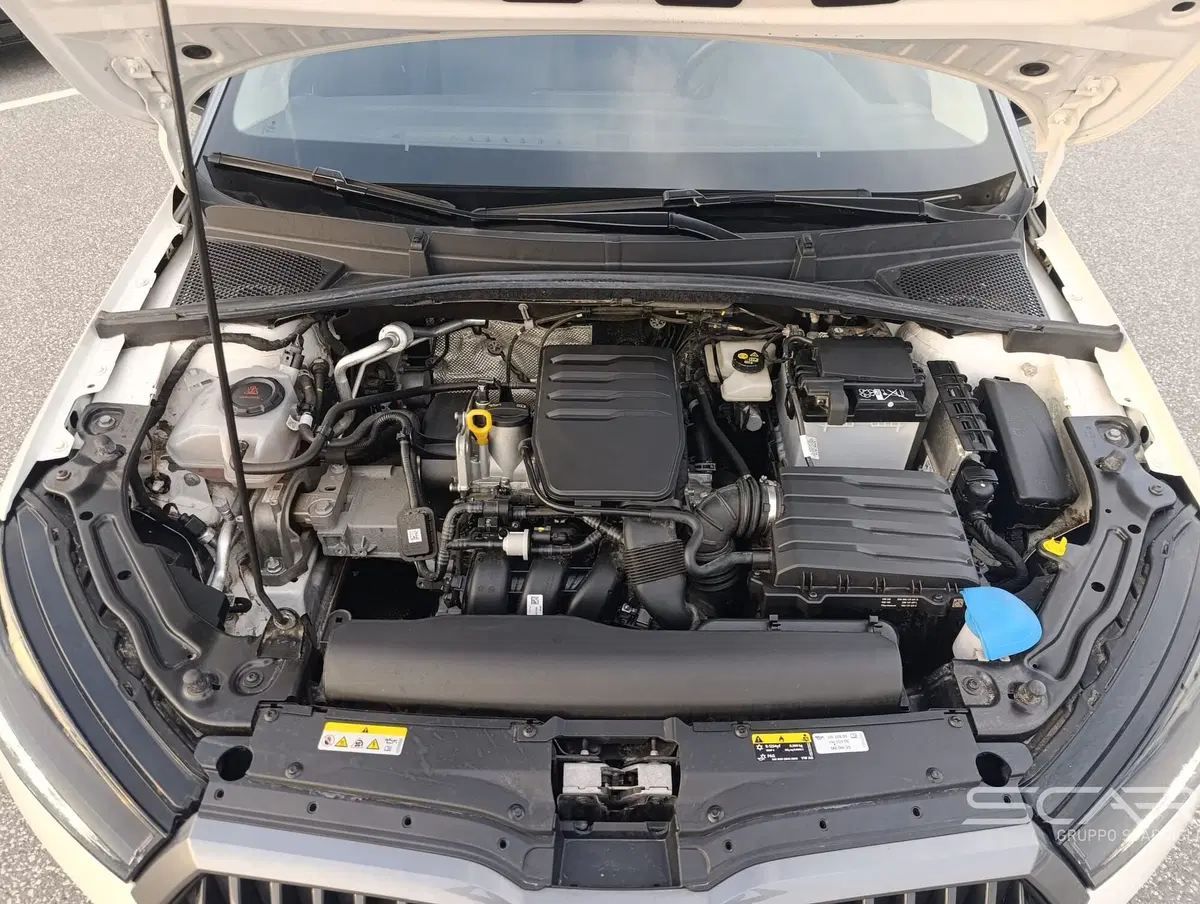 Skoda Fabia usata a Livorno (15)