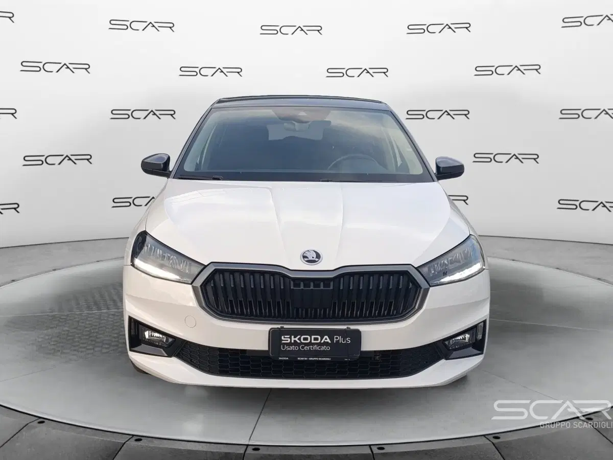Skoda Fabia usata a Livorno (2)