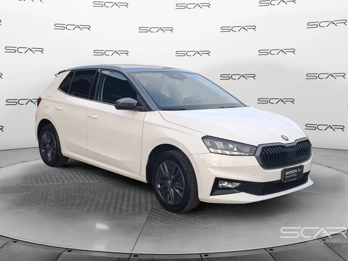 Skoda Fabia usata a Livorno (4)