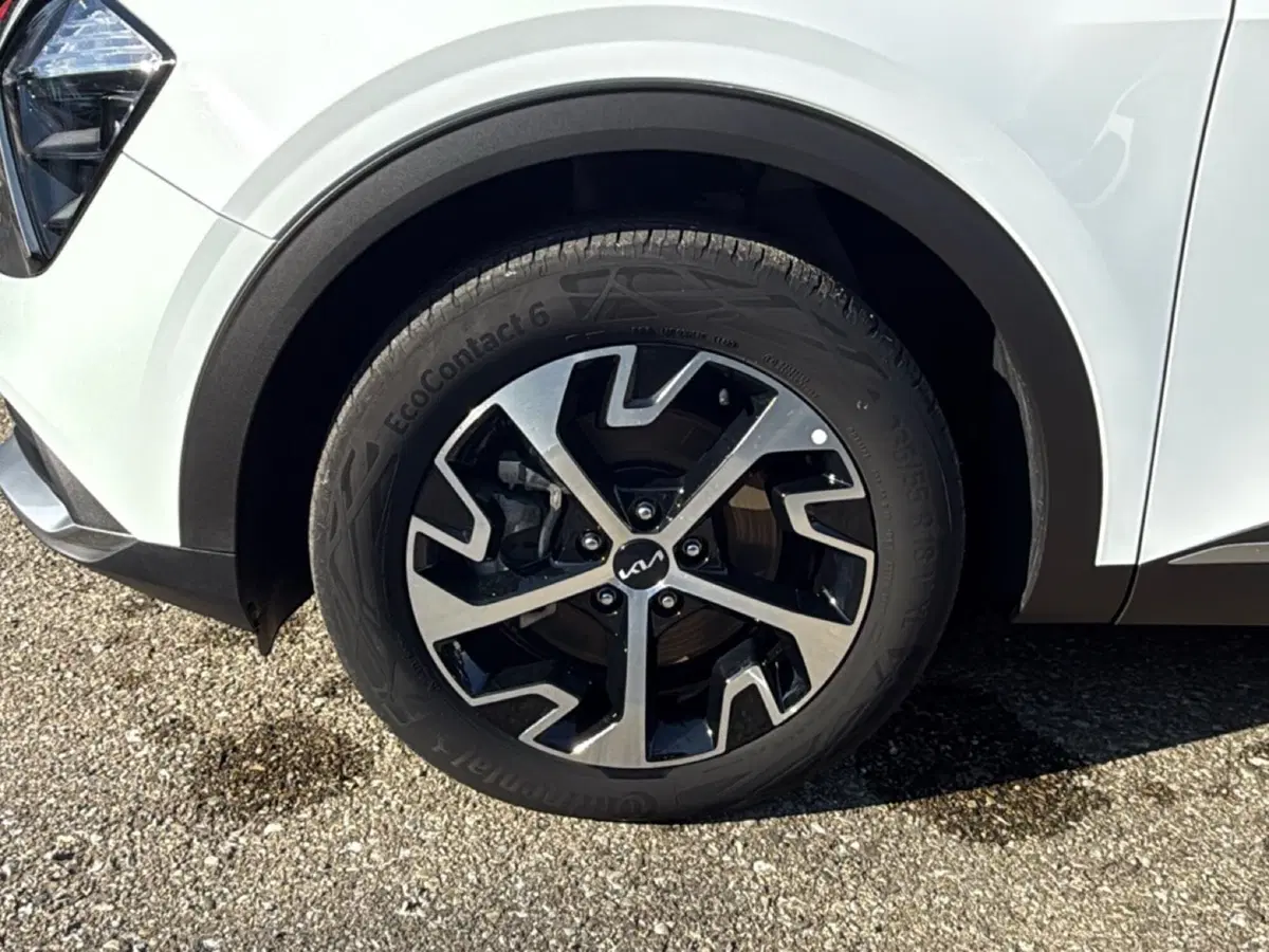 Kia Sportage usata a Ravenna (9)