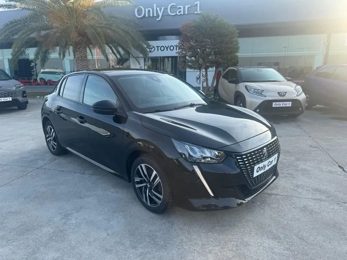 Peugeot 208 usata a Ferrara