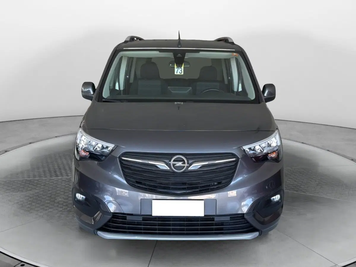 Opel Combo Life usata a Pisa (2)