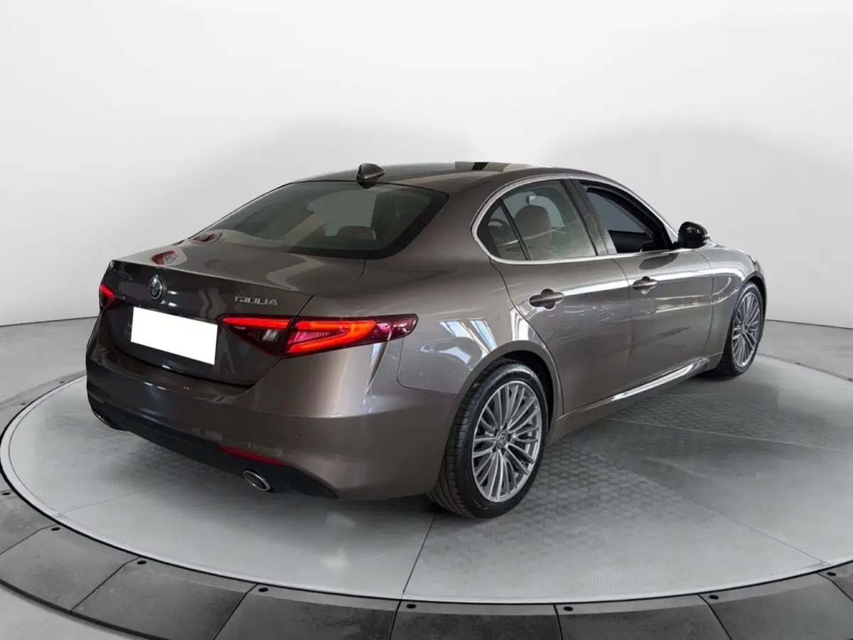 Alfa Romeo Giulia usata a Pisa (15)