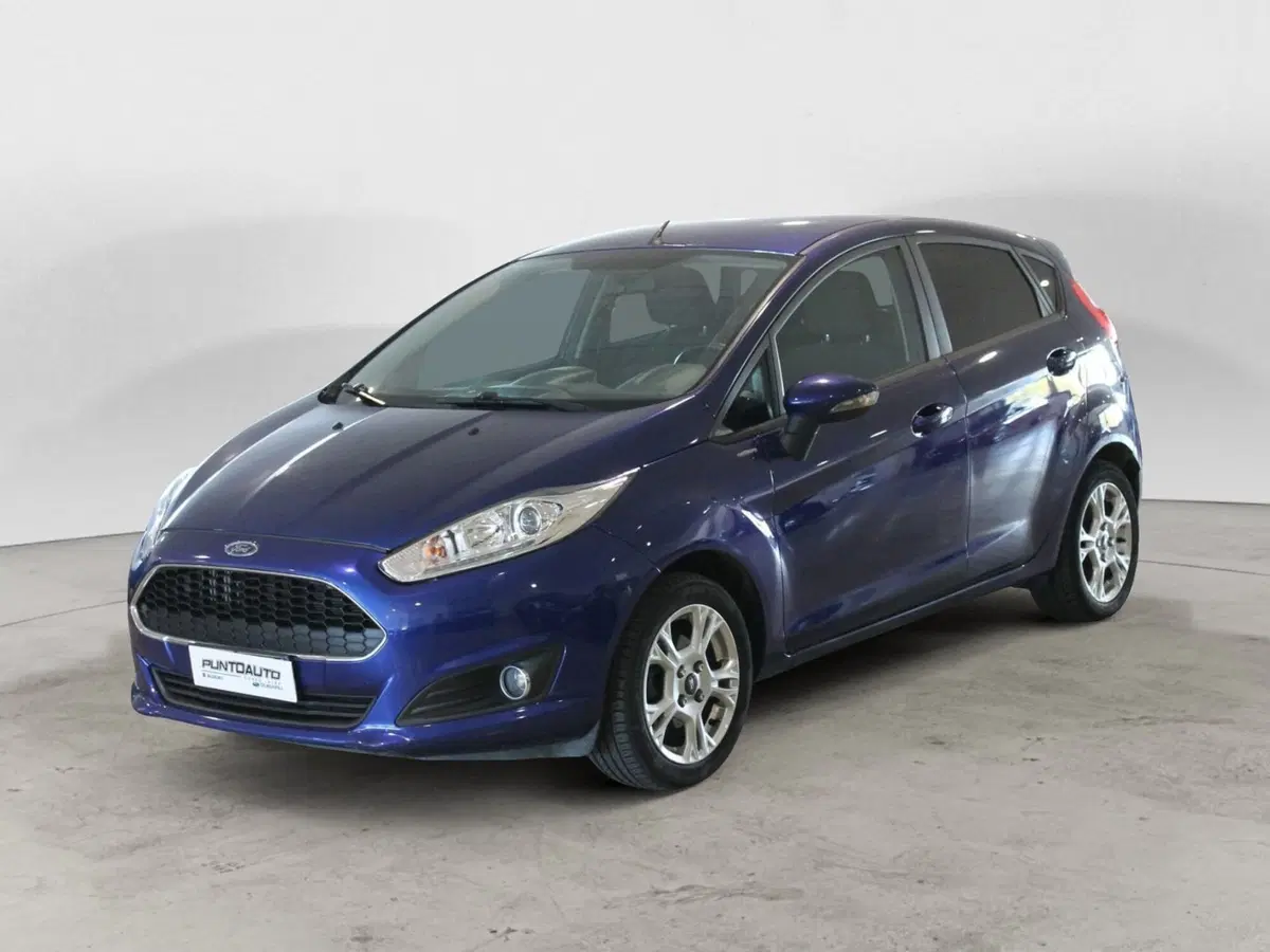 Ford Fiesta usata a Cuneo