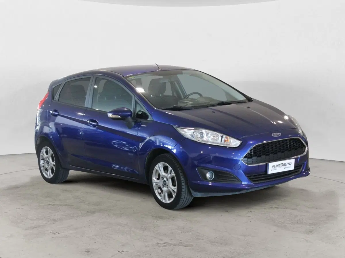 Ford Fiesta usata a Cuneo (6)