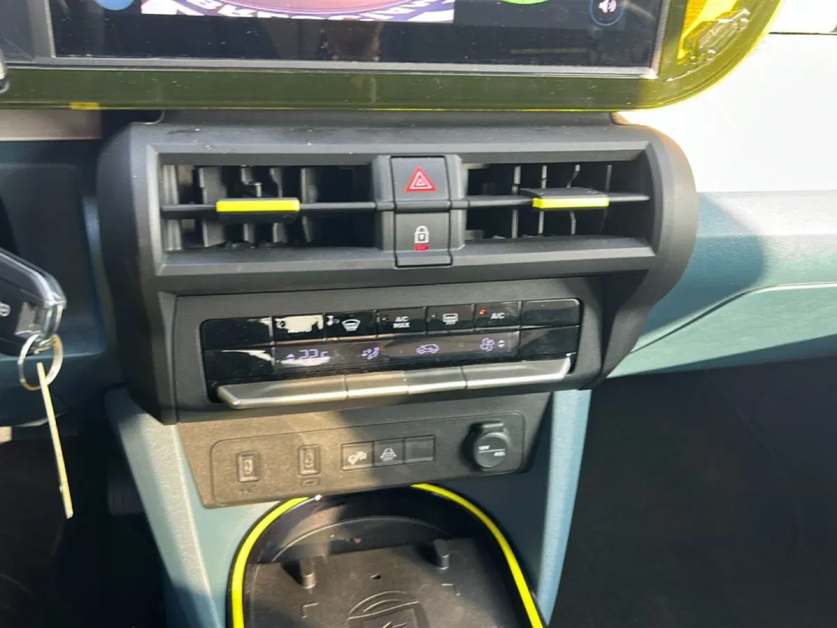 Fiat Grande Panda usata a Bergamo (18)