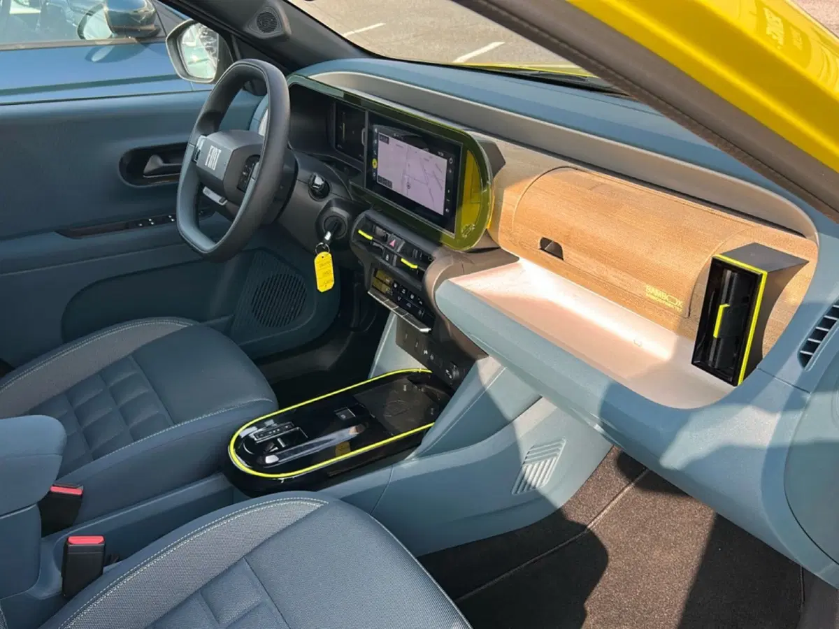 Fiat Grande Panda usata a Bergamo (19)