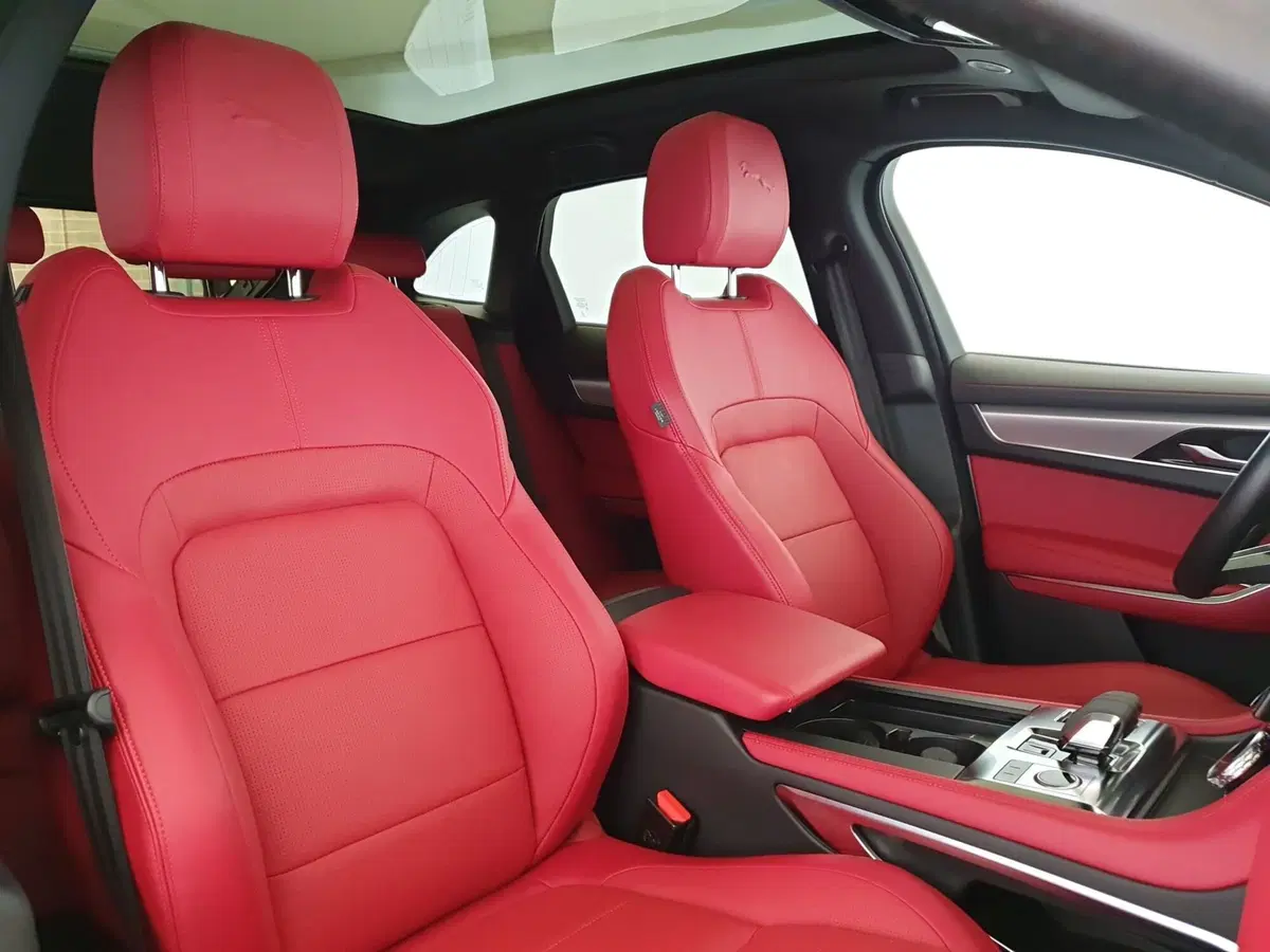 Jaguar F-Pace usata a Monza e Brianza (14)