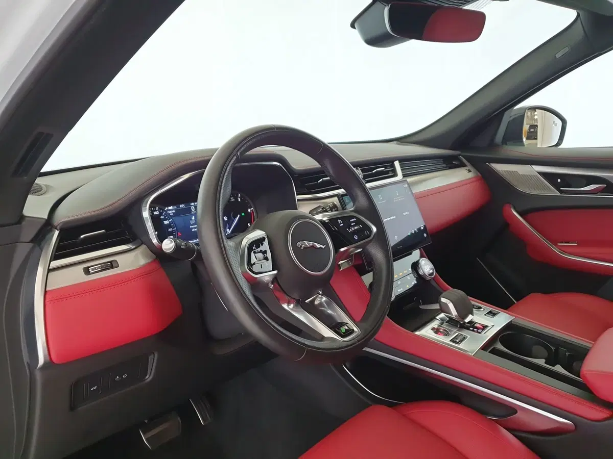 Jaguar F-Pace usata a Monza e Brianza (16)