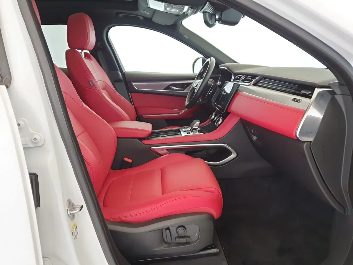 Jaguar F-Pace usata a Monza e Brianza (3)