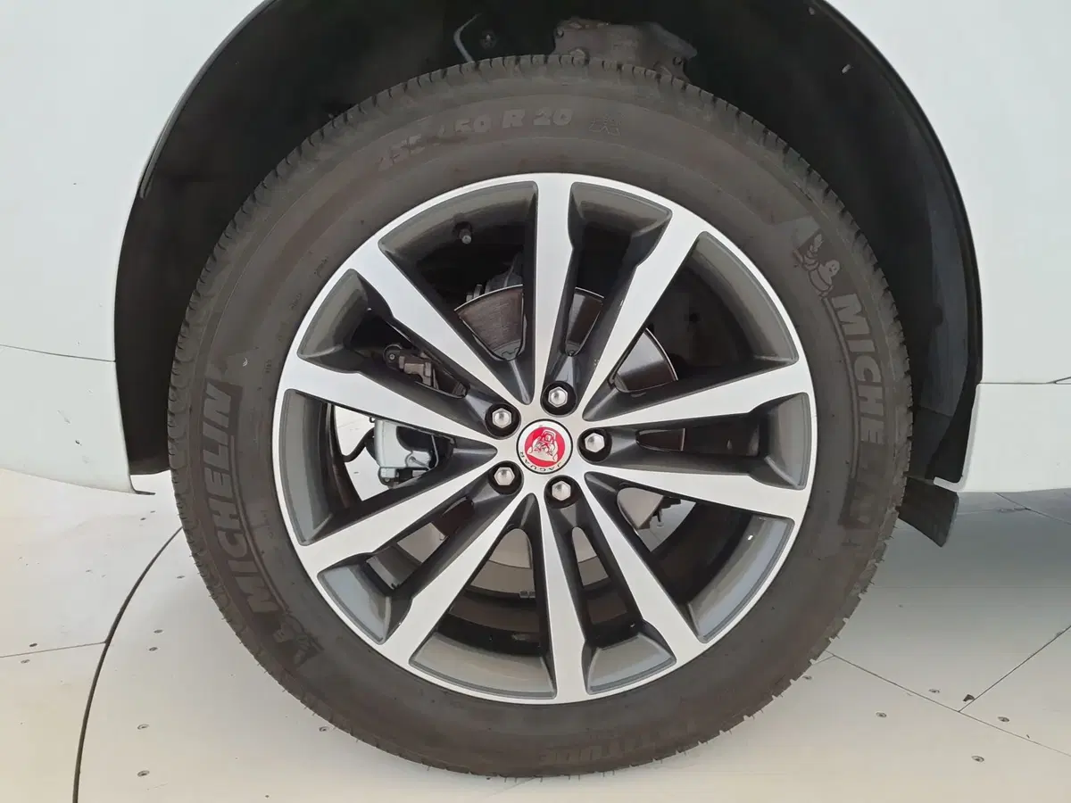 Jaguar F-Pace usata a Monza e Brianza (9)