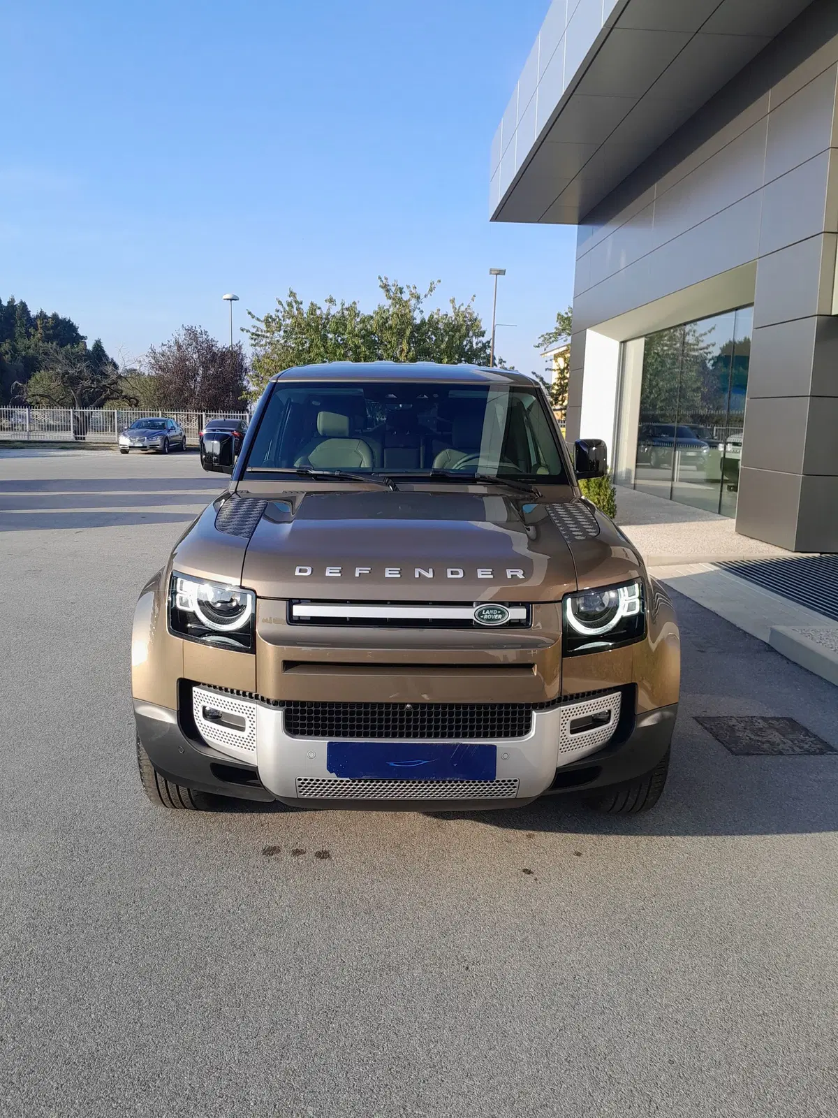 Land Rover Defender usata a Cuneo (2)