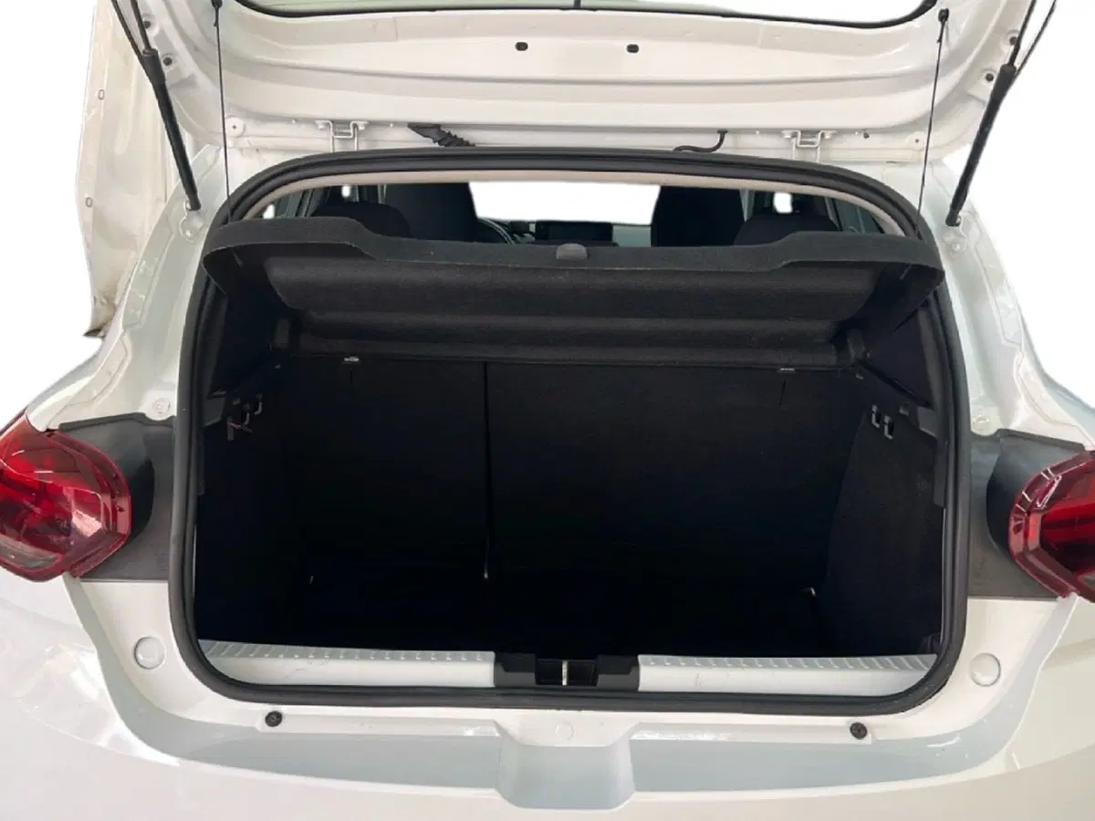 Dacia Sandero usata a Roma (10)
