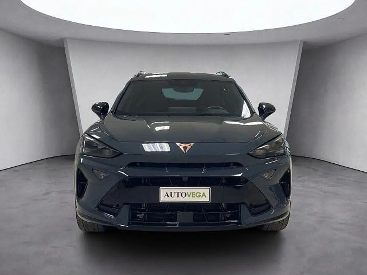 Cupra Formentor usata a Vicenza (2)