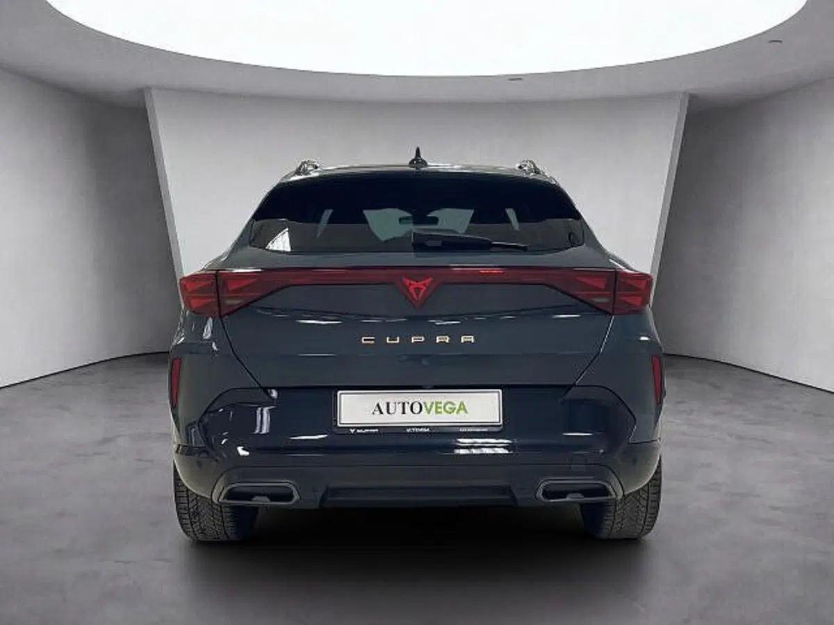 Cupra Formentor usata a Vicenza (5)