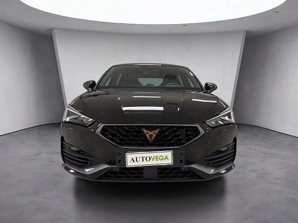 Cupra Leon usata a Vicenza (2)