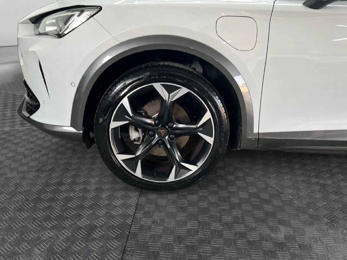Cupra Formentor usata a Roma (9)