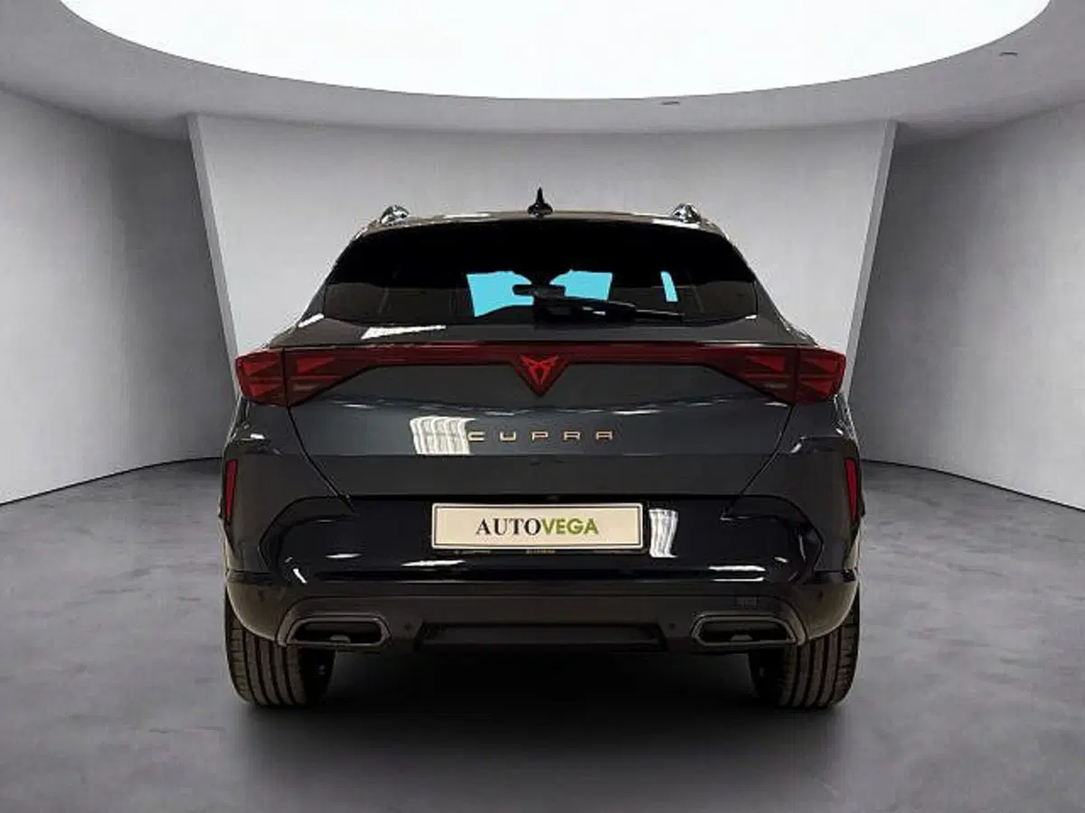 Cupra Formentor usata a Vicenza (5)