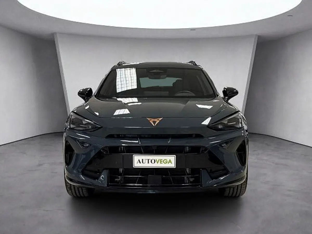 Cupra Formentor usata a Vicenza (2)