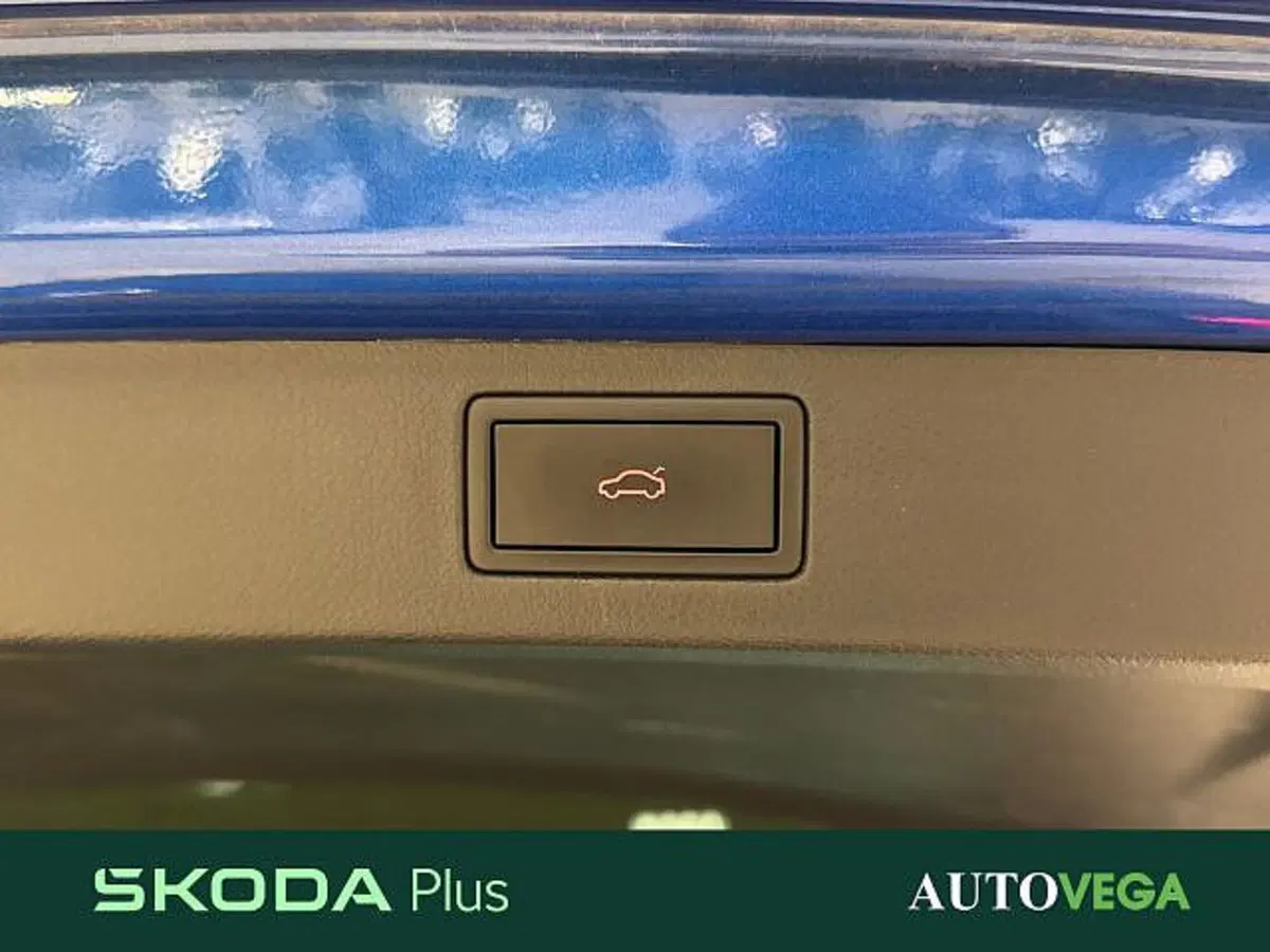 Skoda Kamiq usata a Vicenza (16)