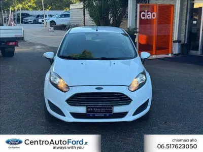 Ford Fiesta 1.0 80CV 5 porte del 2013 usata a Albano Laziale