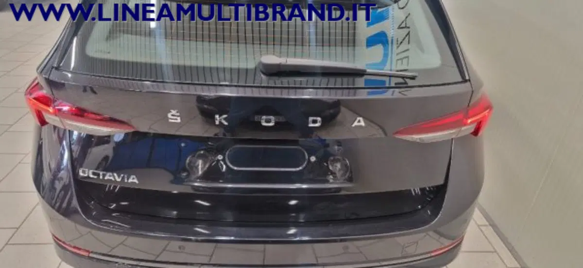 Skoda Octavia Station Wagon usata a Piacenza (16)