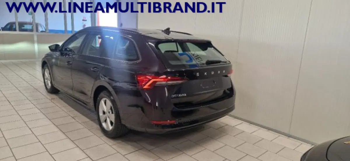 Skoda Octavia Station Wagon usata a Piacenza (17)