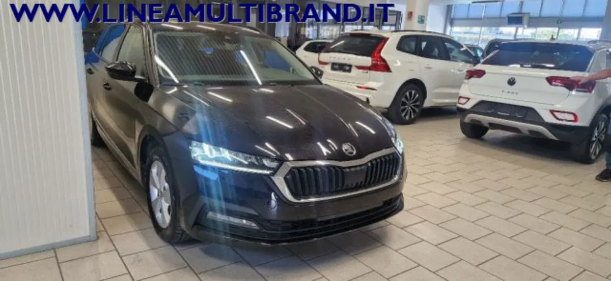 Skoda Octavia Station Wagon usata a Piacenza (19)