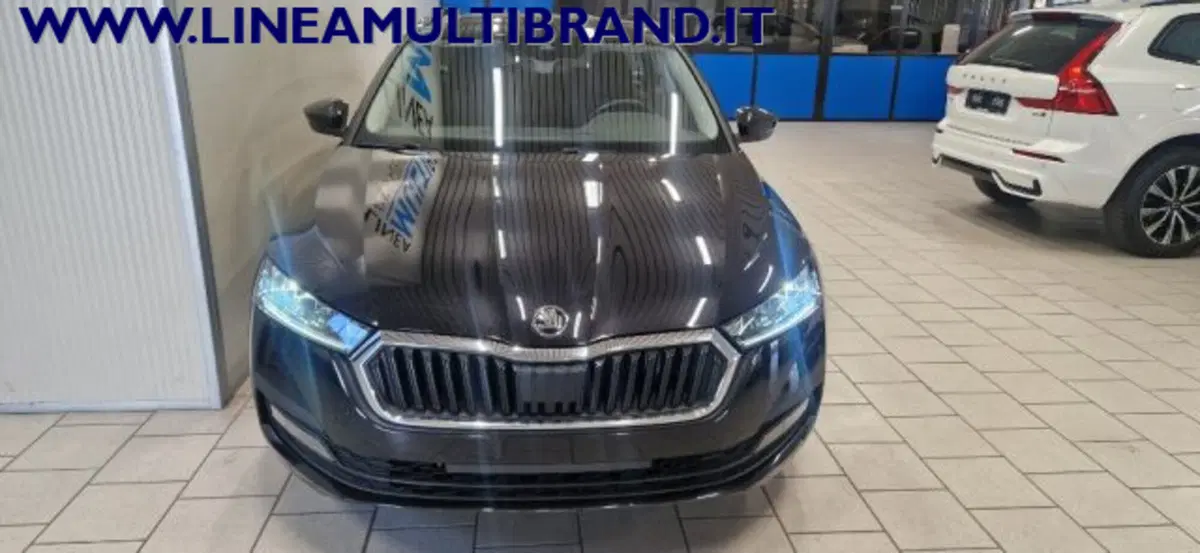 Skoda Octavia Station Wagon usata a Piacenza (20)