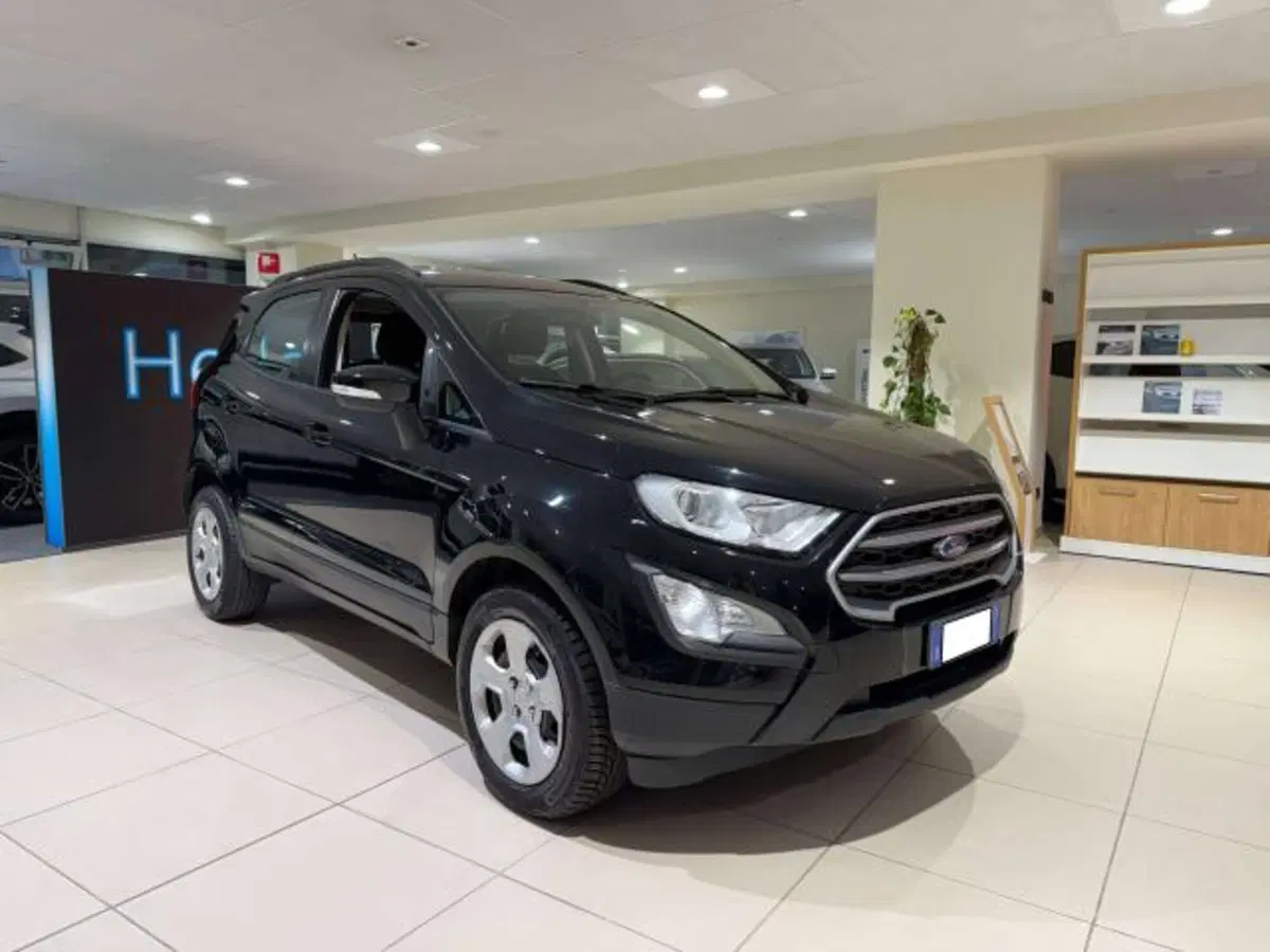 Ford EcoSport usata a Savona (8)