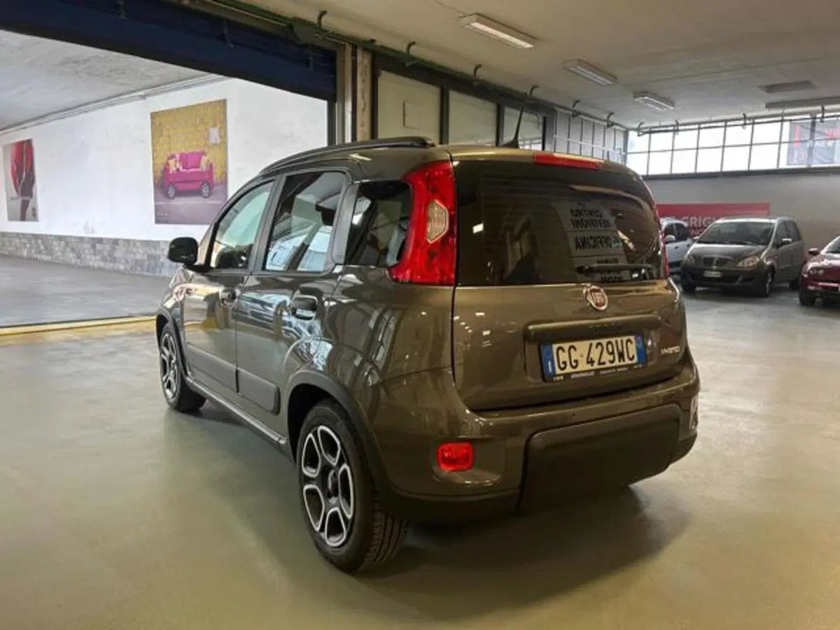 Fiat Panda usata a Vercelli (2)
