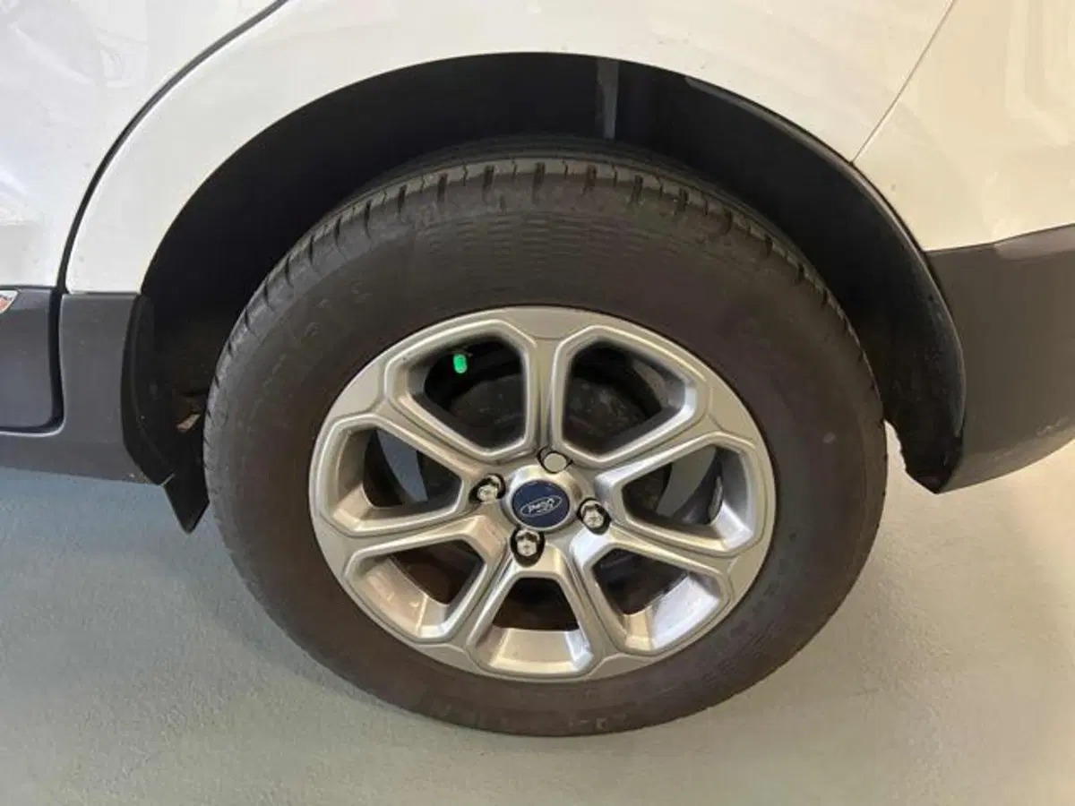 Ford EcoSport usata a Vercelli (10)