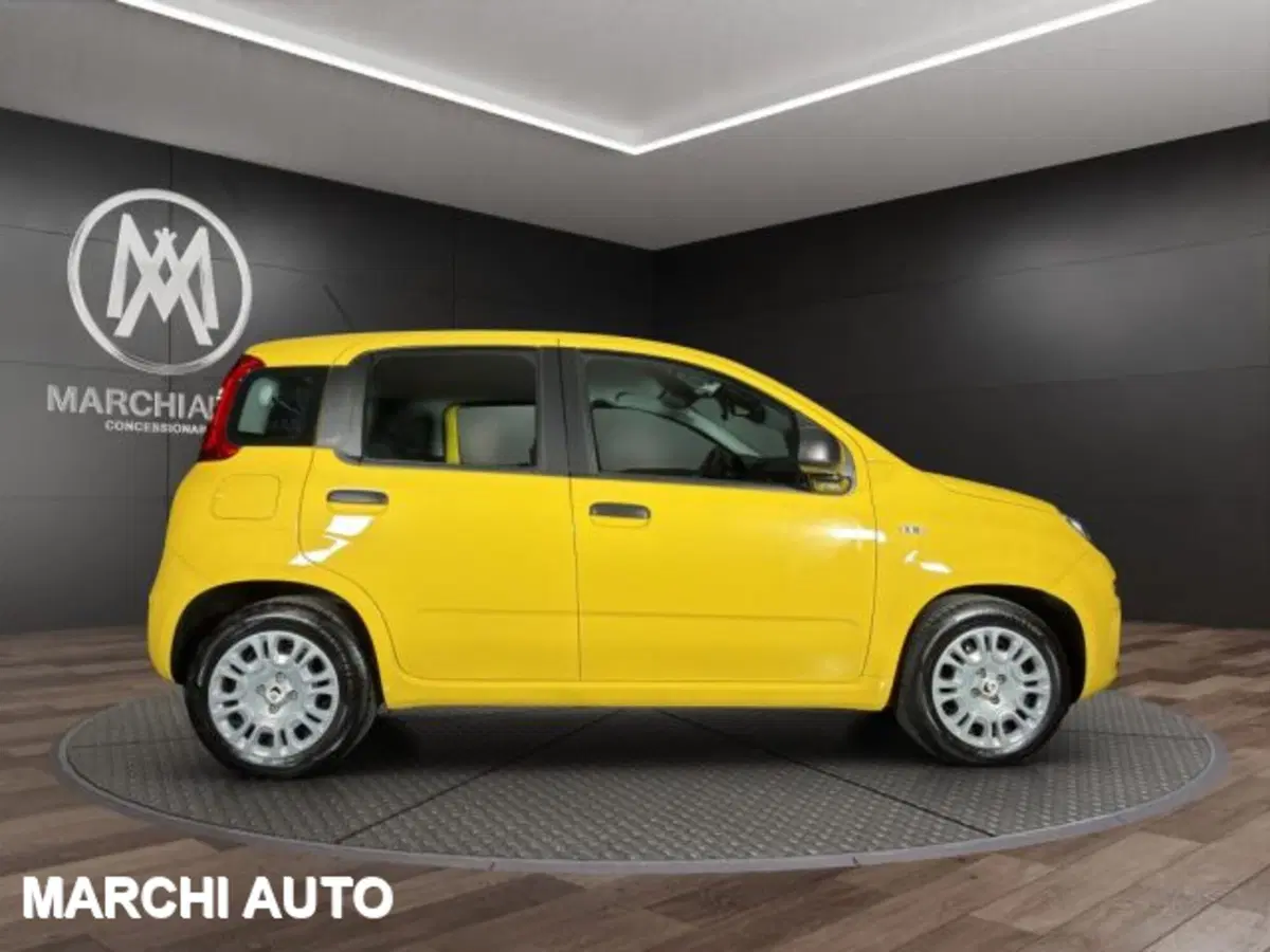 Fiat Panda usata a Perugia (4)