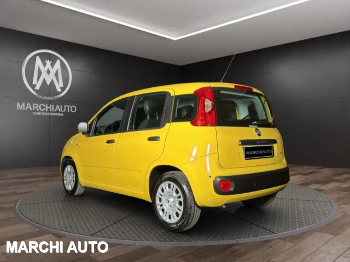Fiat Panda usata a Perugia (7)