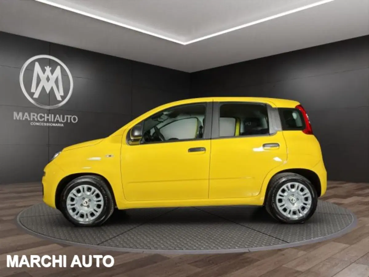 Fiat Panda usata a Perugia (8)