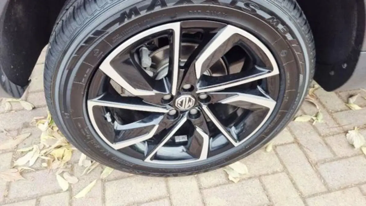 Mg ZS usata a Savona (19)