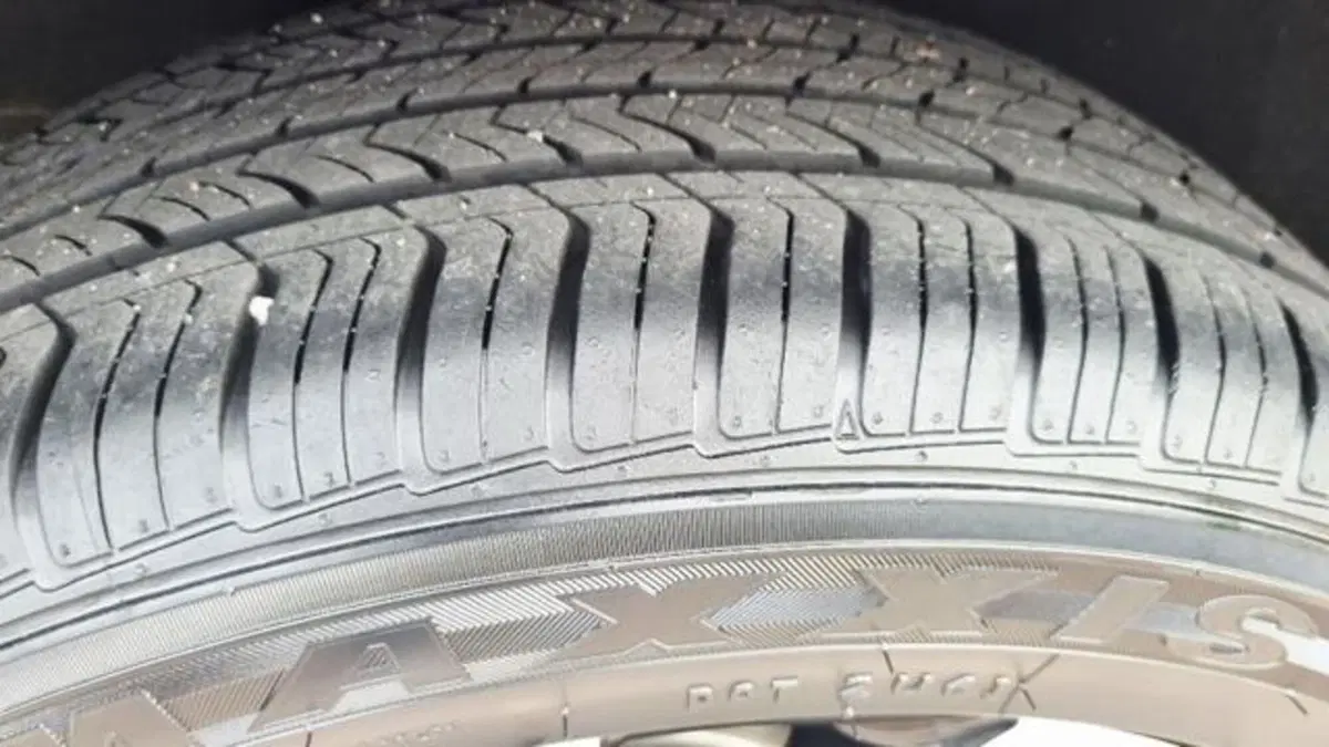 Mg ZS usata a Savona (20)