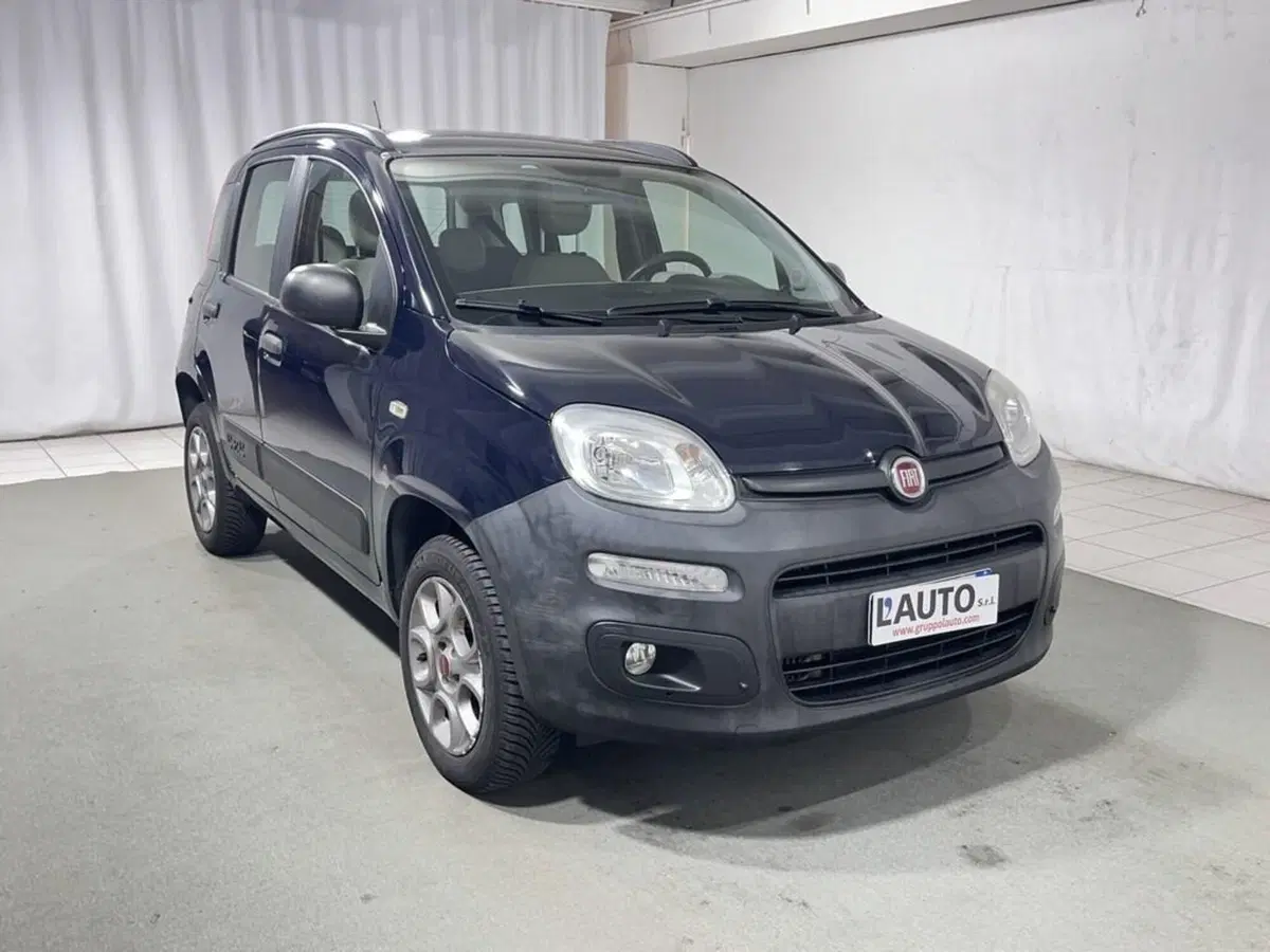 Fiat Panda usata a Sondrio (7)