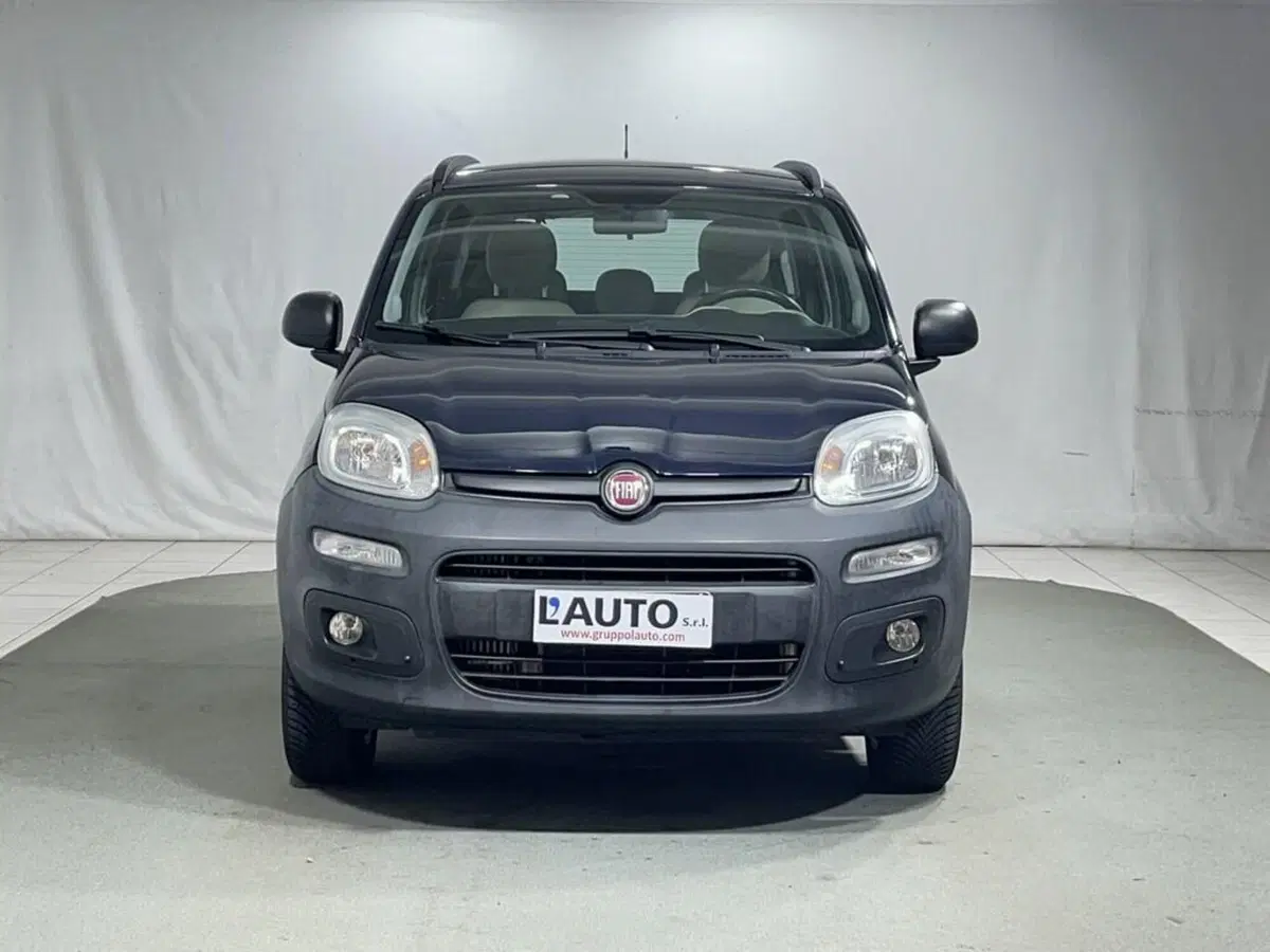 Fiat Panda usata a Sondrio (8)