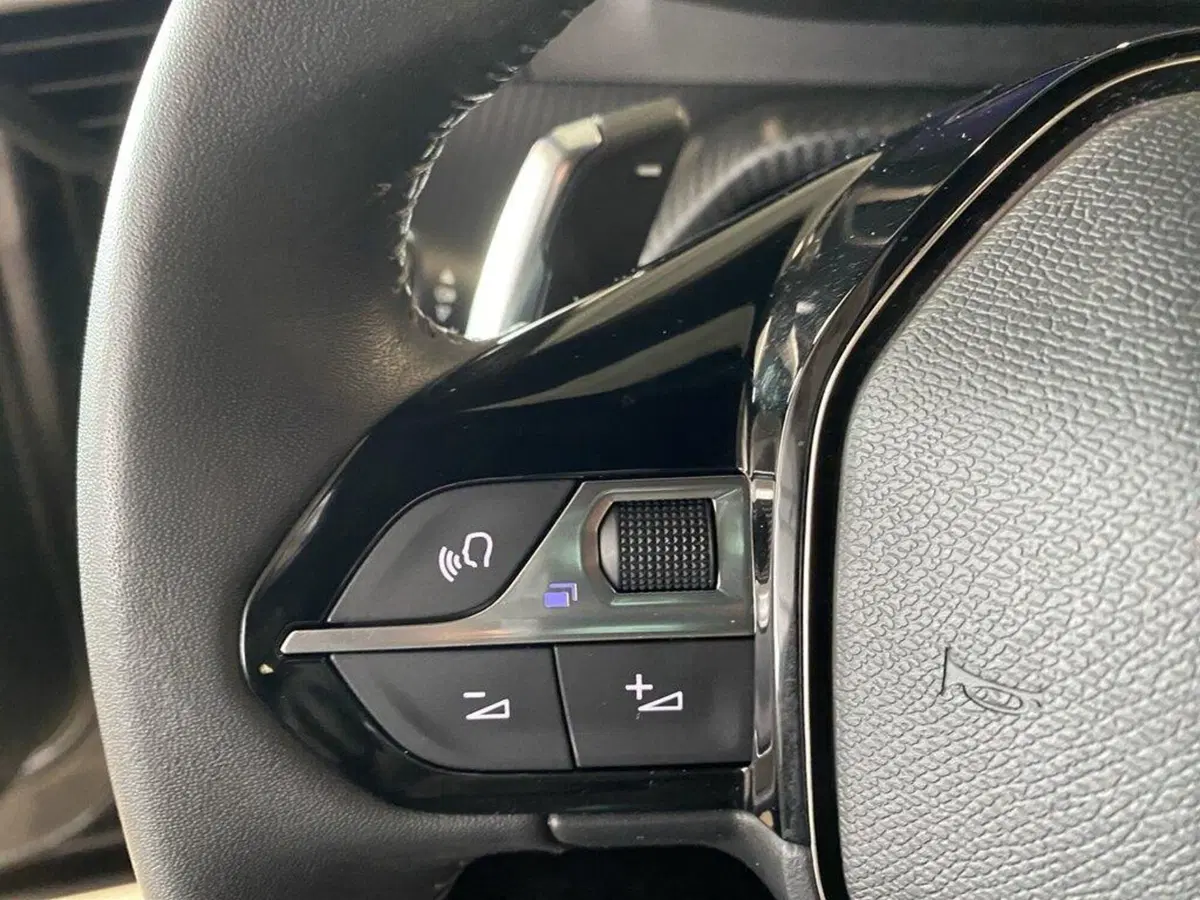 Peugeot 2008 usata a Torino (13)