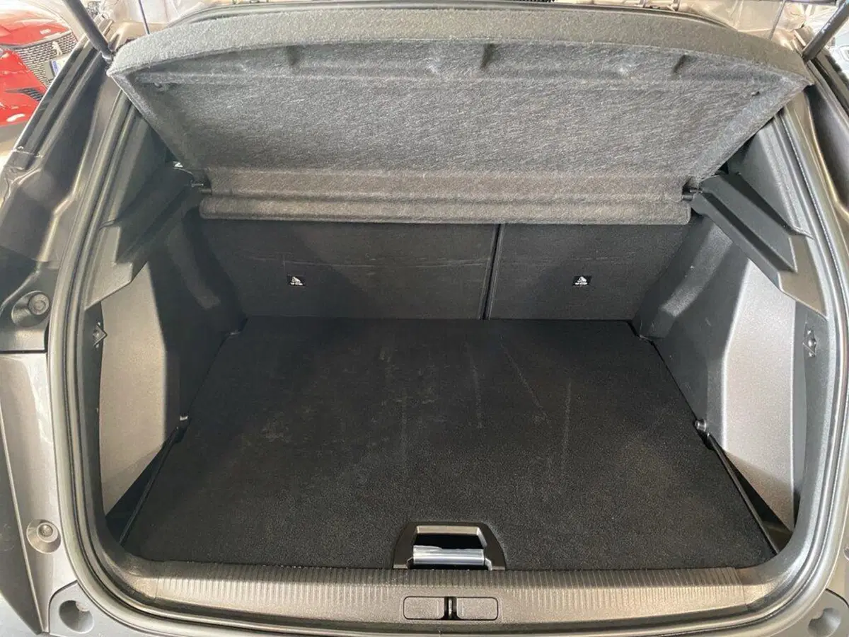 Peugeot 2008 usata a Torino (9)