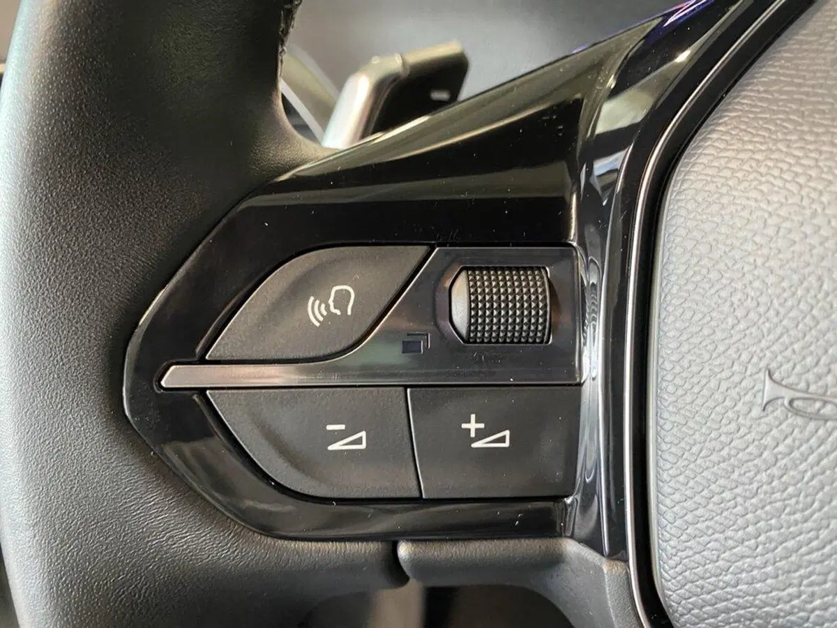 Peugeot 3008 usata a Torino (13)